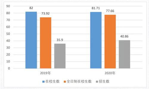 2019-2020 年在校生数、全日制在校生数、招生数统计